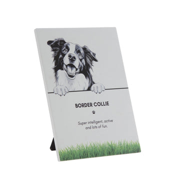 PET PLAQUE - Border Collie