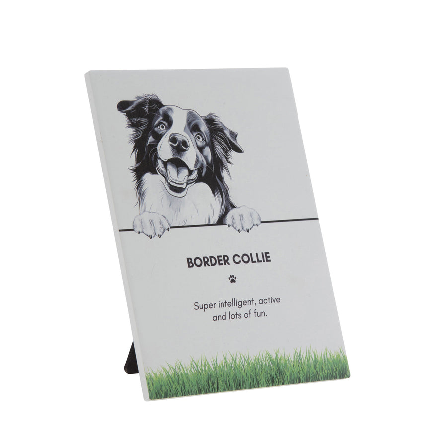 PET PLAQUE - Border Collie